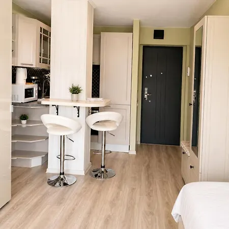 Apartmán Cismigiu Panoramic View